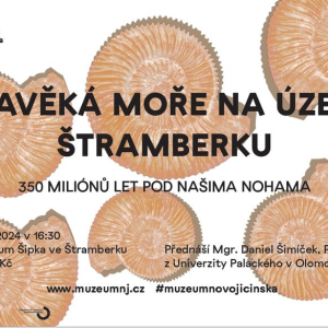 snimek-obrazovky-2024-01-04-082713