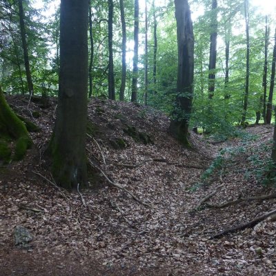 P1180989 7.7.2024 Hradiste